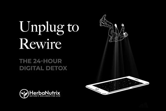 Digital Detox: How 24 Hours Without My Phone Rewired My Brain